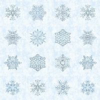 mfR652450D Sky